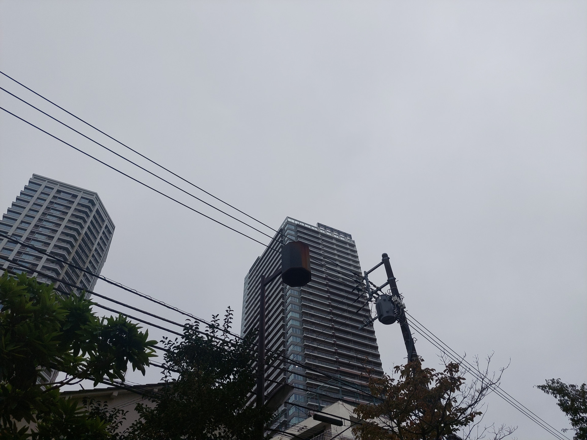 20241008_071640