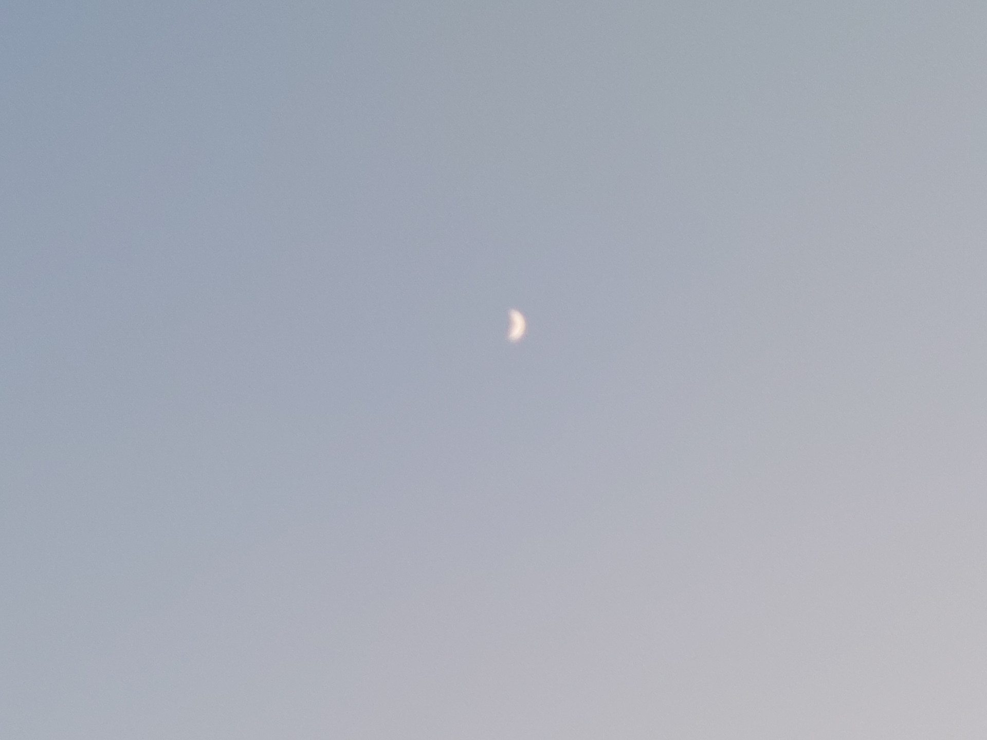 20241108_163230