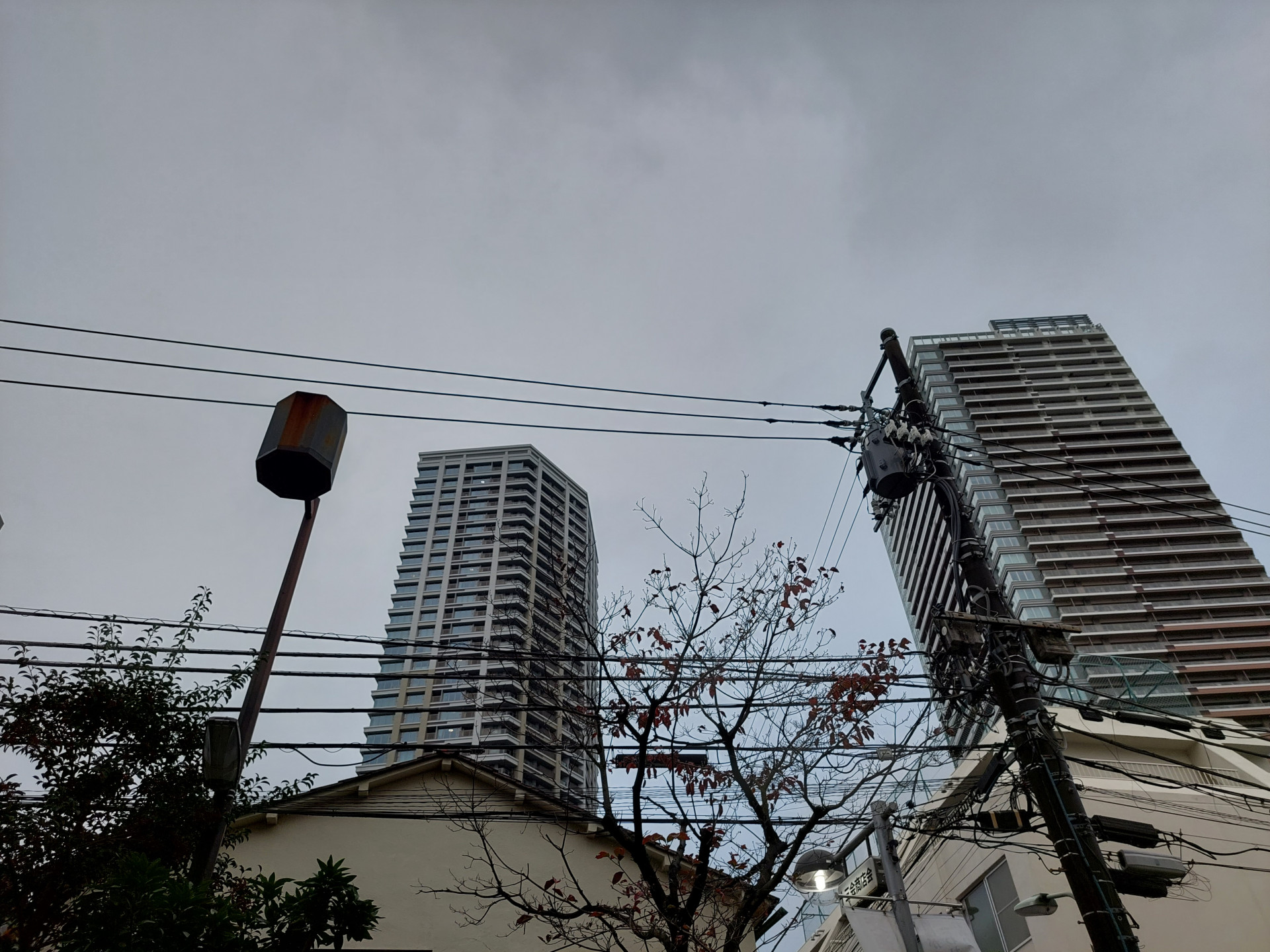 20241121_071928