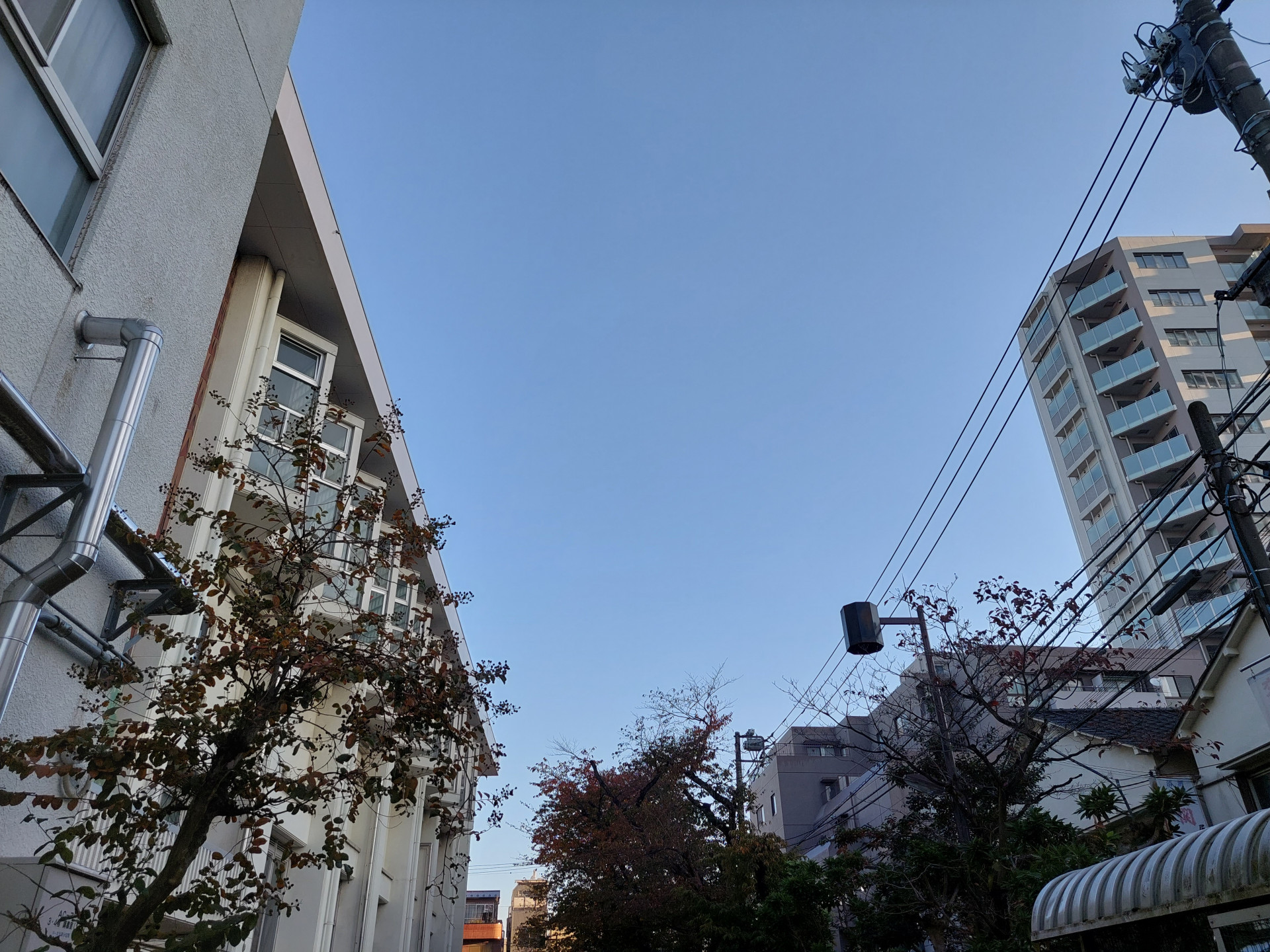 20241122_071946
