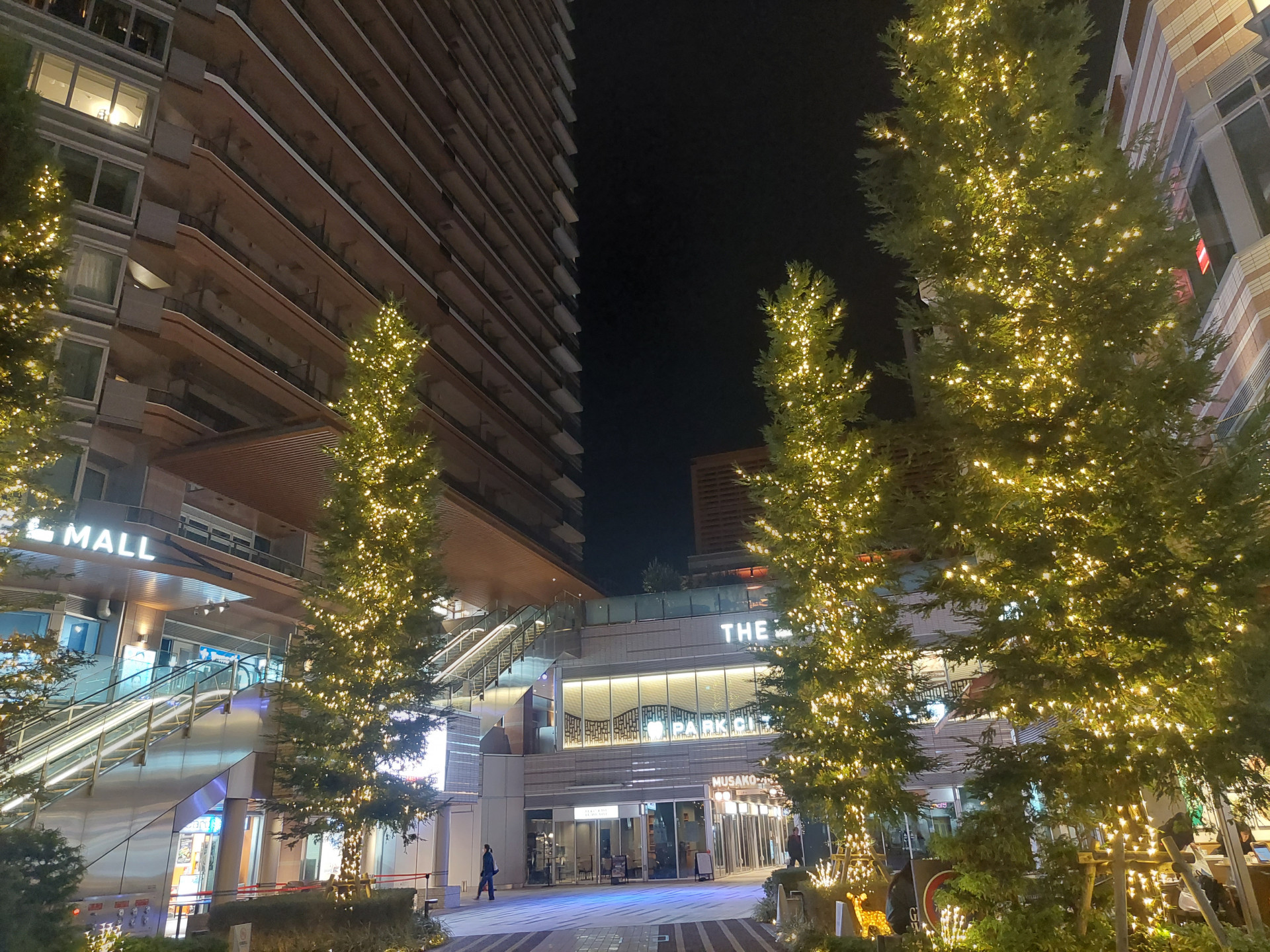 20241203_205322