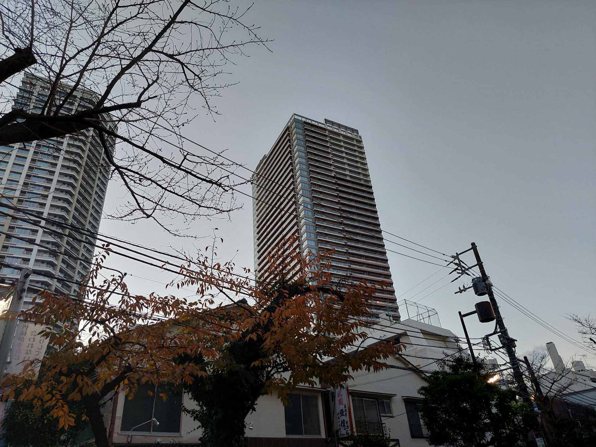20241226_064218