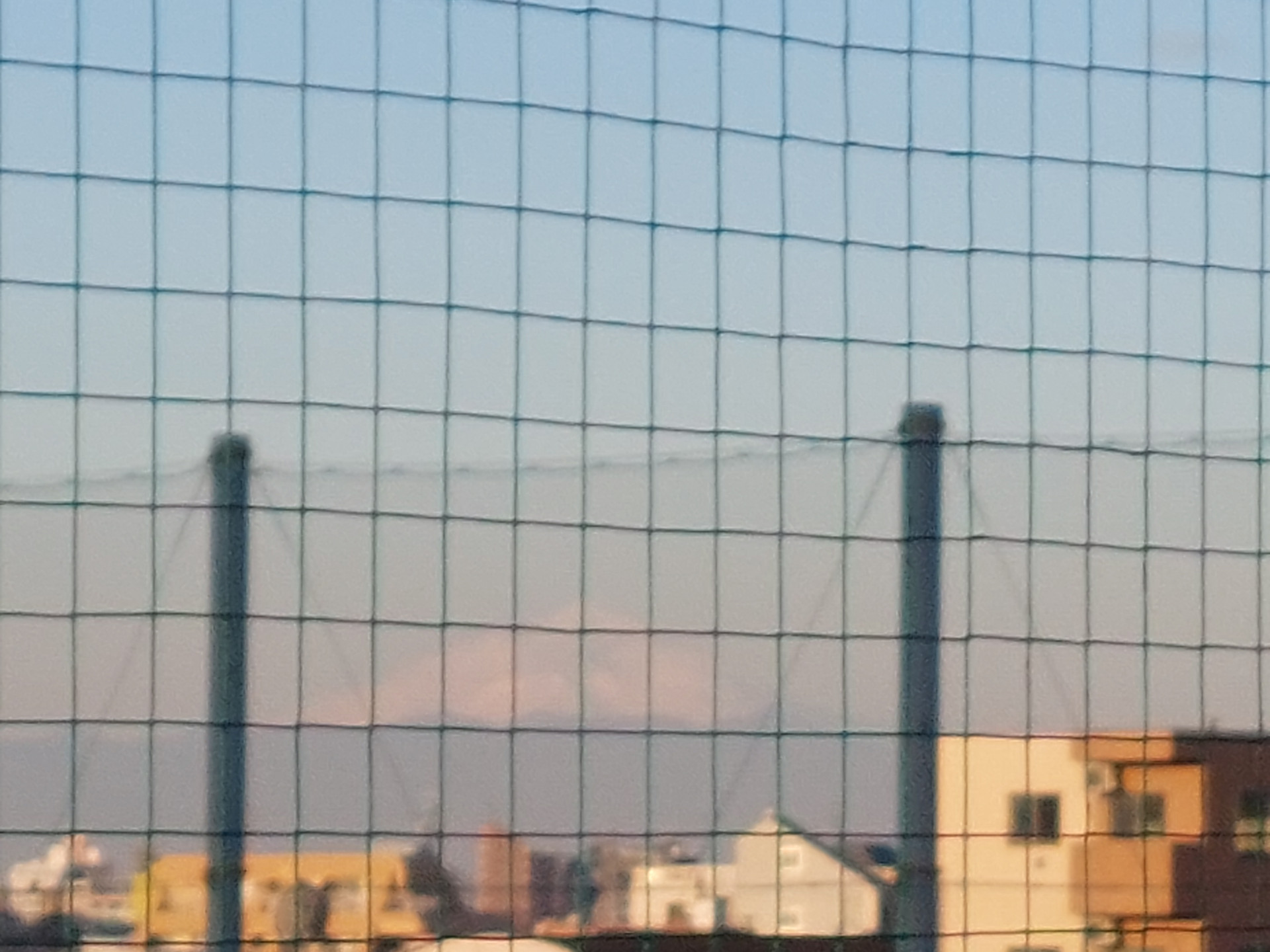20250128_073357