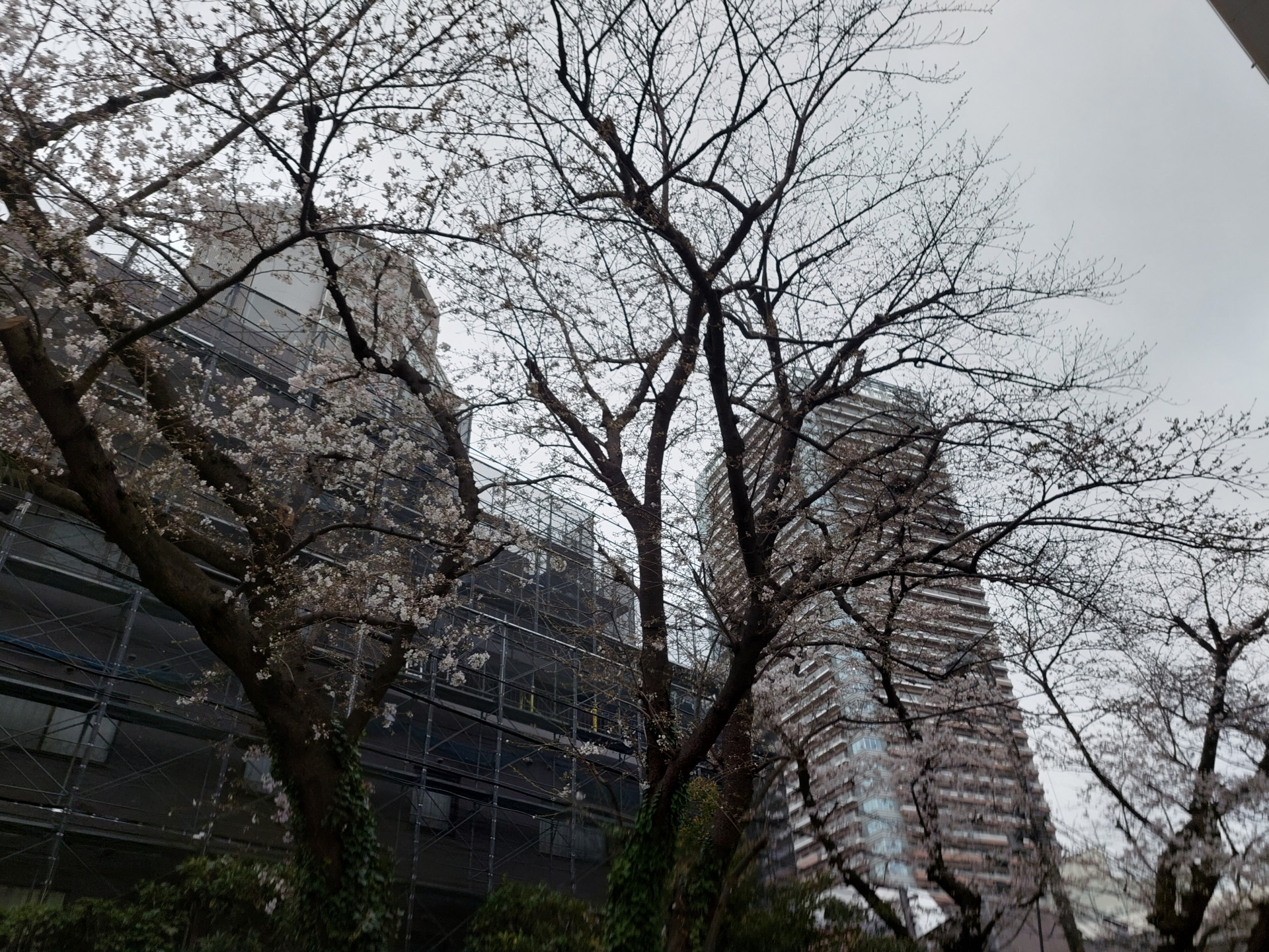 20250327_065558
