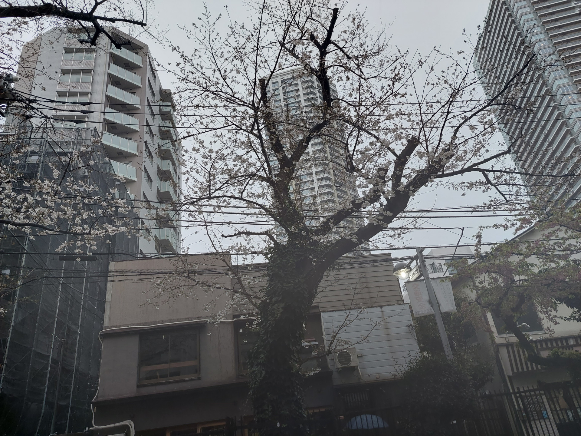 20250328_074909
