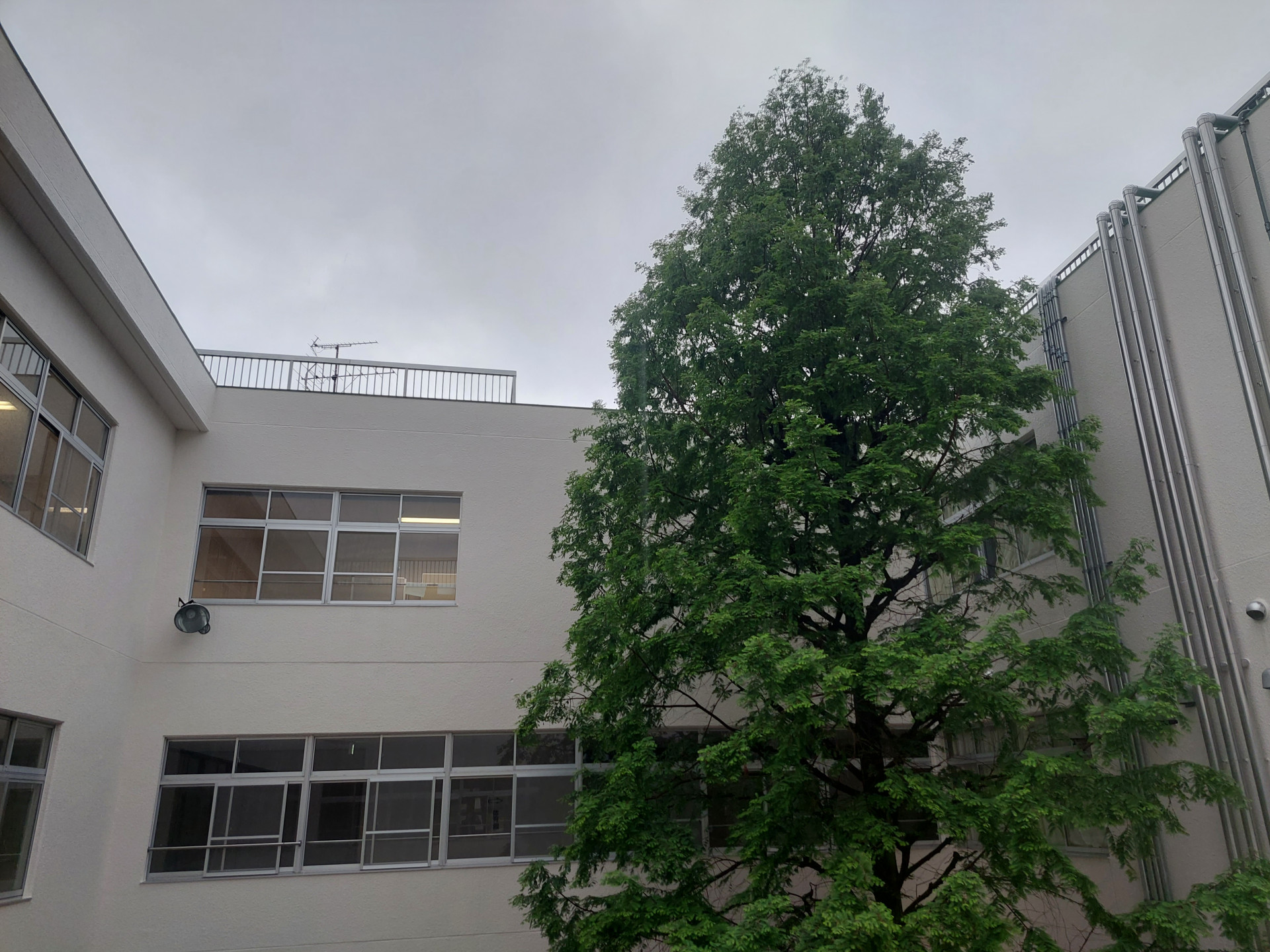 20260427_072216