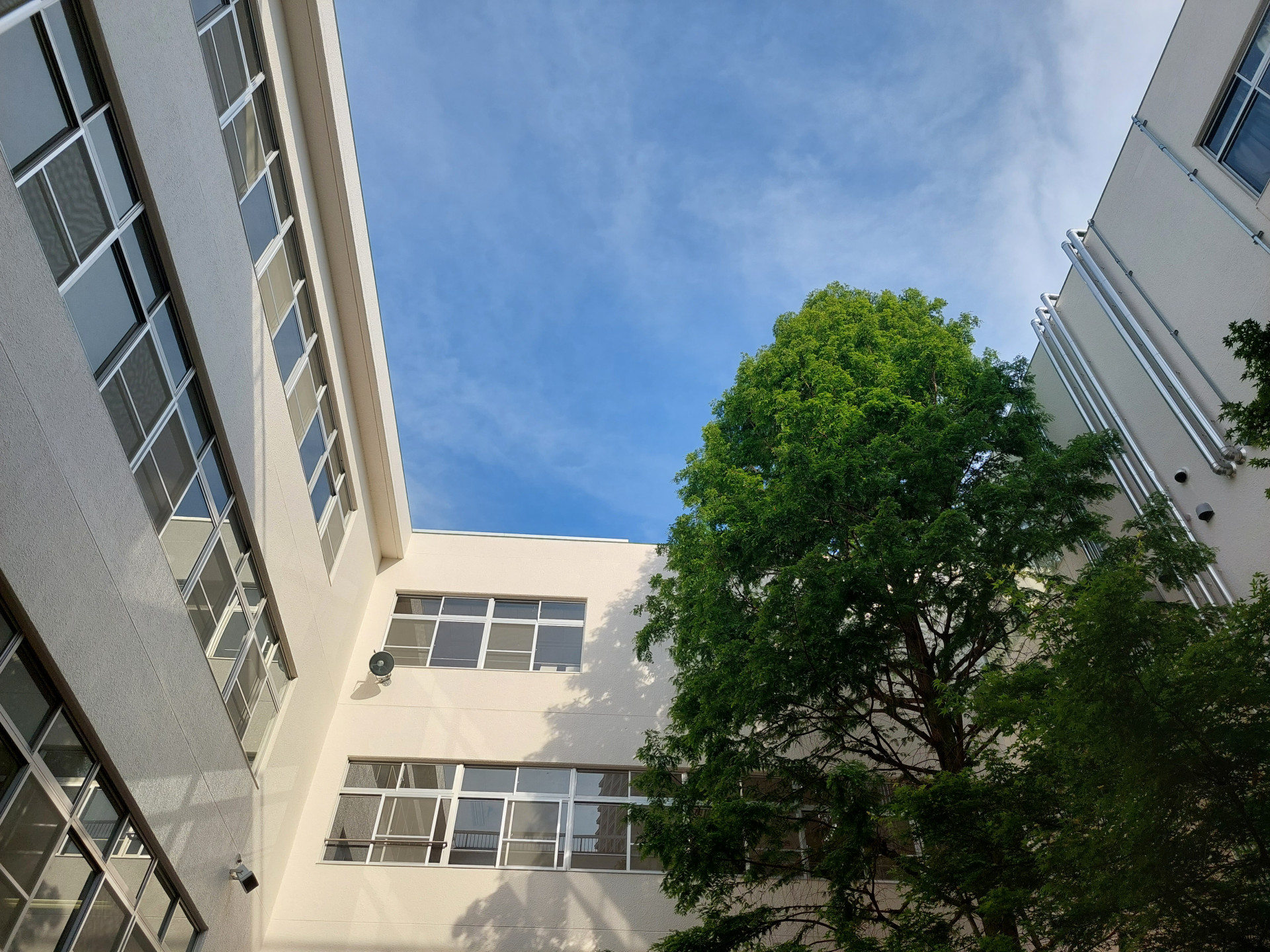 20260520_070754