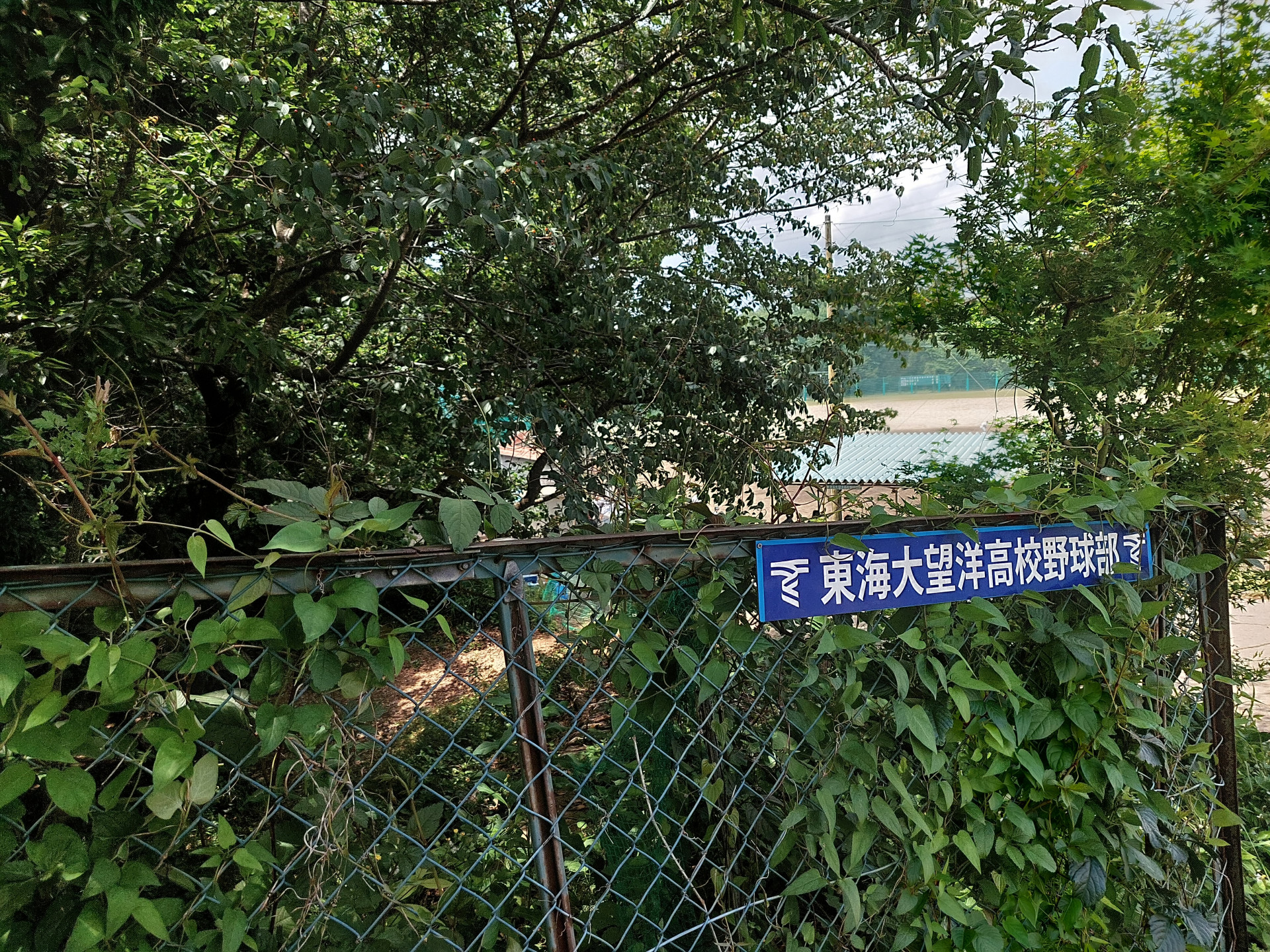 20260524_121229