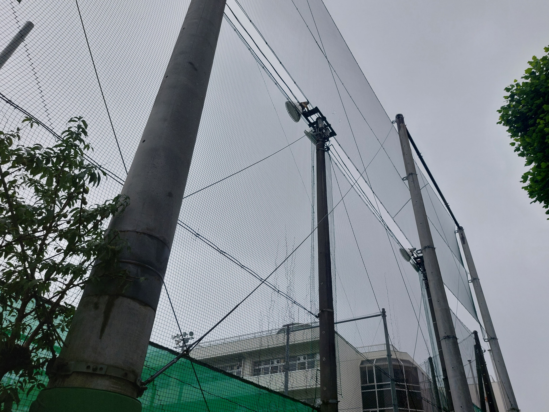 20260629_070435