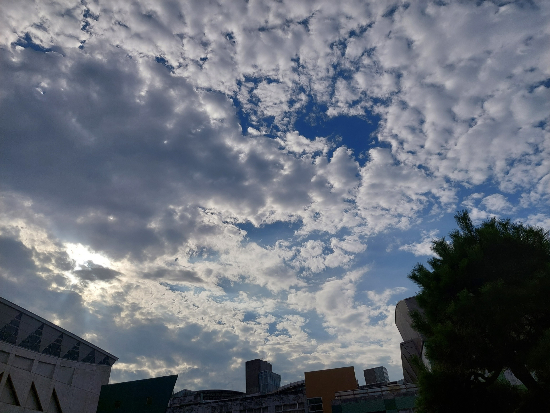 20260730_070912