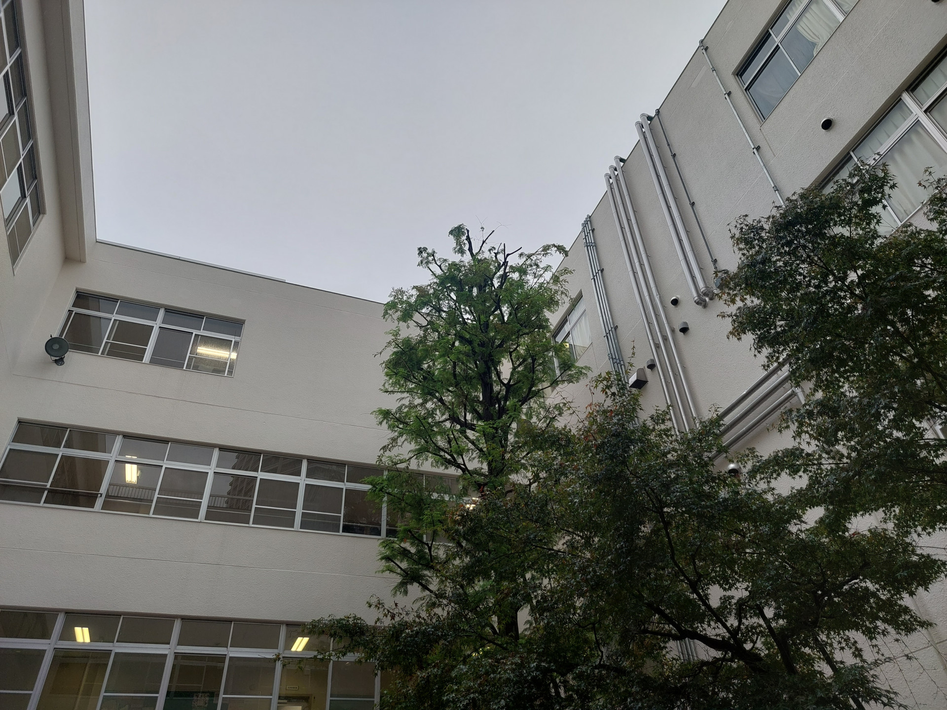 20260929_161920