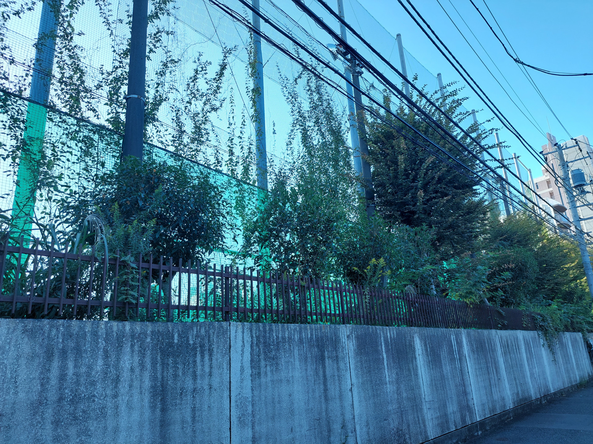 20261008_074843