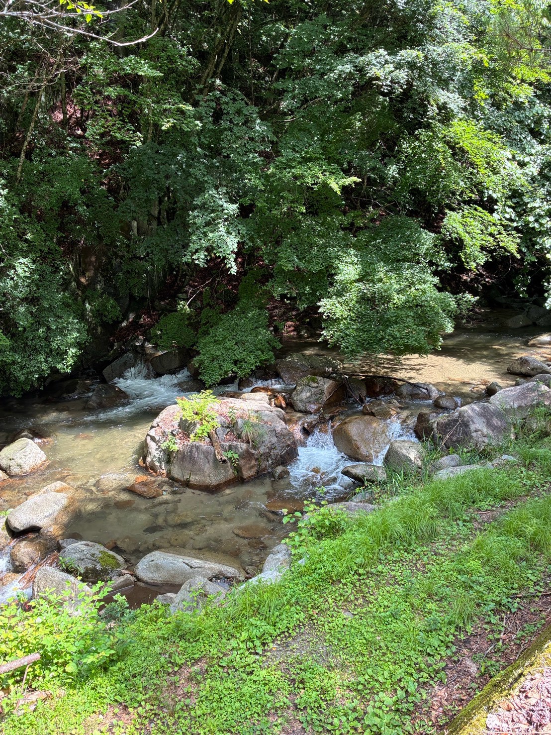 高山荘の様子１