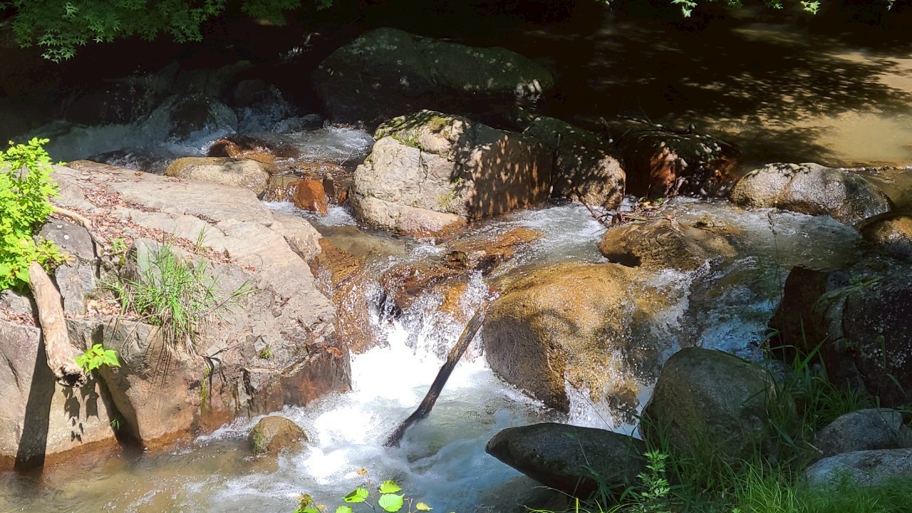 高山荘の河原１