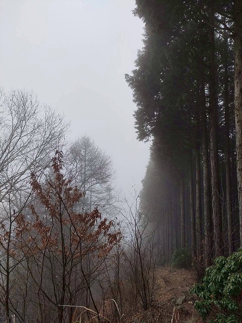 山岳部