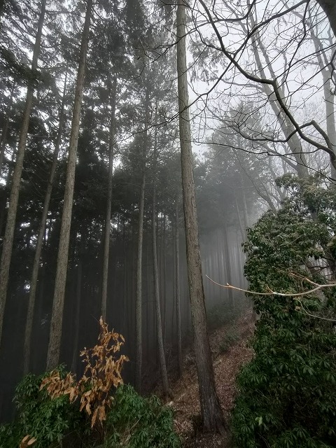 山岳部
