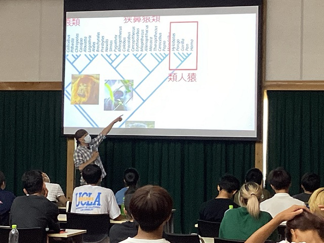 東大京大５