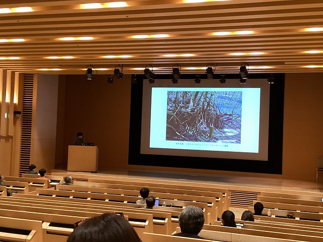 マングローブ学会