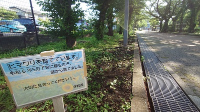 20240611_hibi_1