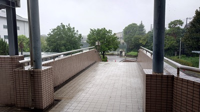 20240816_hibi_1