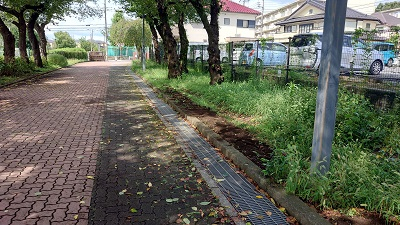 20240826_hibi_2