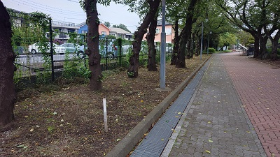 20240904_hibi_1