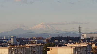20241203_hibi_1