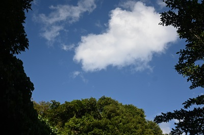 20250120_hibi_7