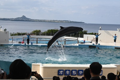 20250122_syuu_10