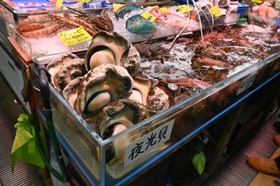 20250123_syuu_10