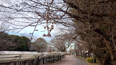 20250129_hibi_1