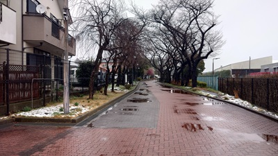 20250306_hibi_1