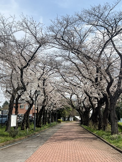 20250401_hibi_2