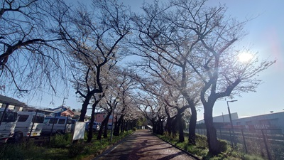 20250404_hibi_1