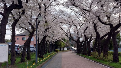 20250407_hibi_1