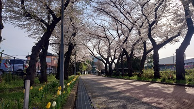 20250408_hibi_3