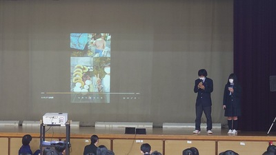 20250411_生物ハイキング