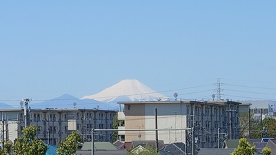 20250421_hibi_1