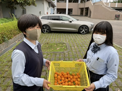 20250624_seibutu_5
