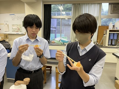 20250624_seibutu_8