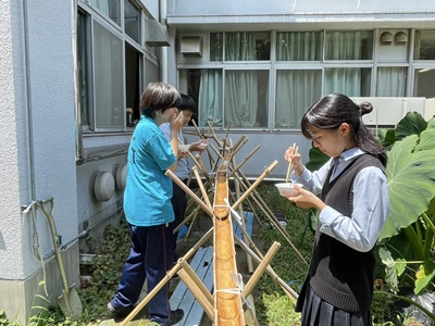 20250723_hai_6