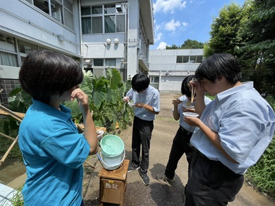 20250723_hibi_３
