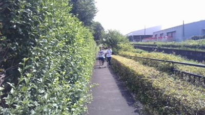 20250806_001Pro480