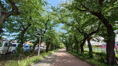 20260508_hibi_1