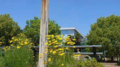 20260609_hibi_1