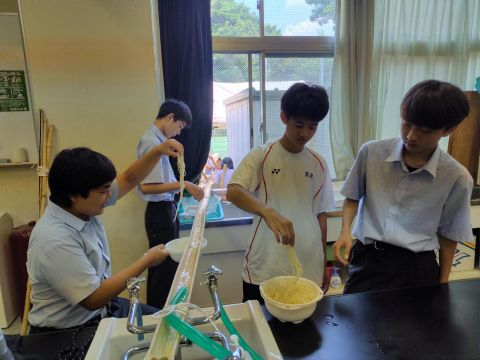 20260722_ハイキング生物1