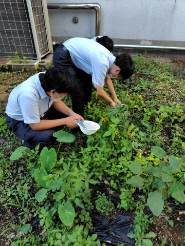 20260826_生物002.JPG