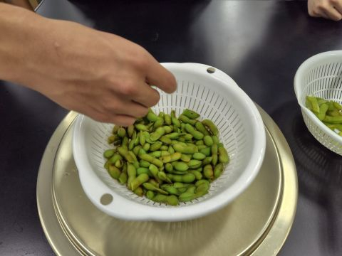 20260826_生物005.JPG