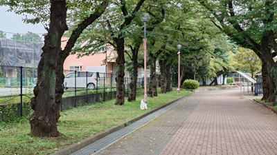 20260902_hibi_1