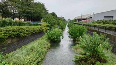 20260907_hibi_1